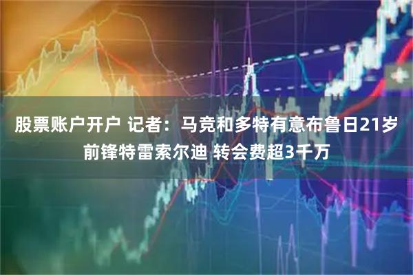 股票账户开户 记者：马竞和多特有意布鲁日21岁前锋特雷索尔迪 转会费超3千万