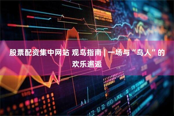 股票配资集中网站 观鸟指南 | 一场与“鸟人”的欢乐邂逅