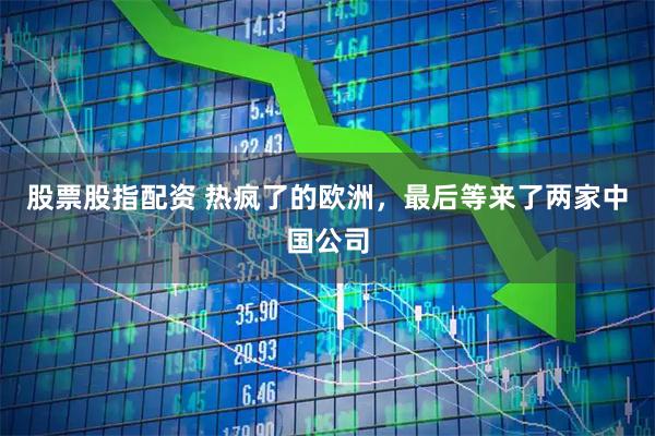 股票股指配资 热疯了的欧洲，最后等来了两家中国公司